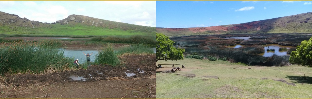 Humedales de Rapa Nui afectados por el Cambio Climático