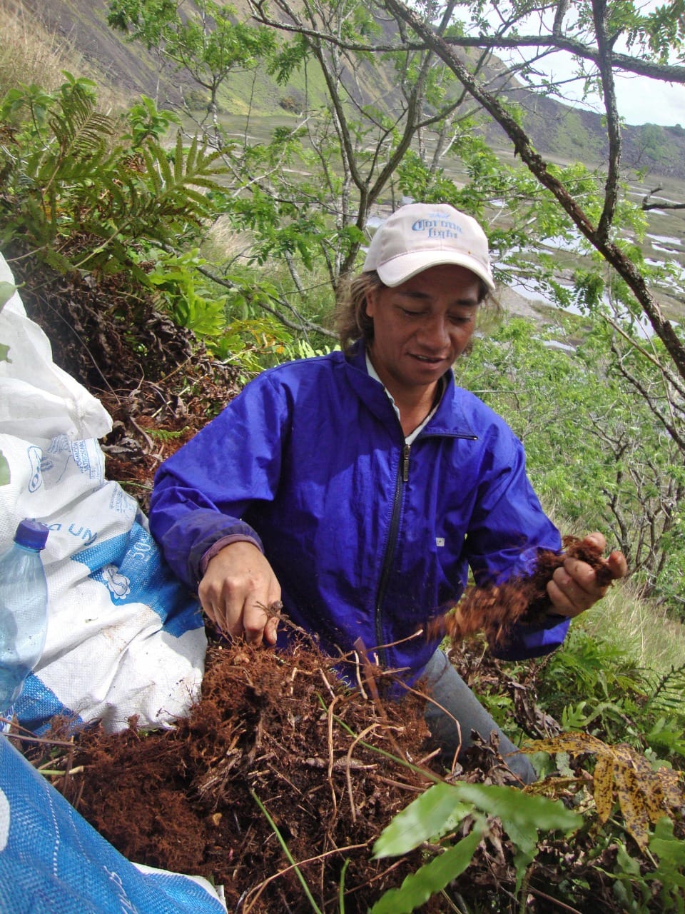 d962d09b 074f 4cad b285 70eddc3bd12c