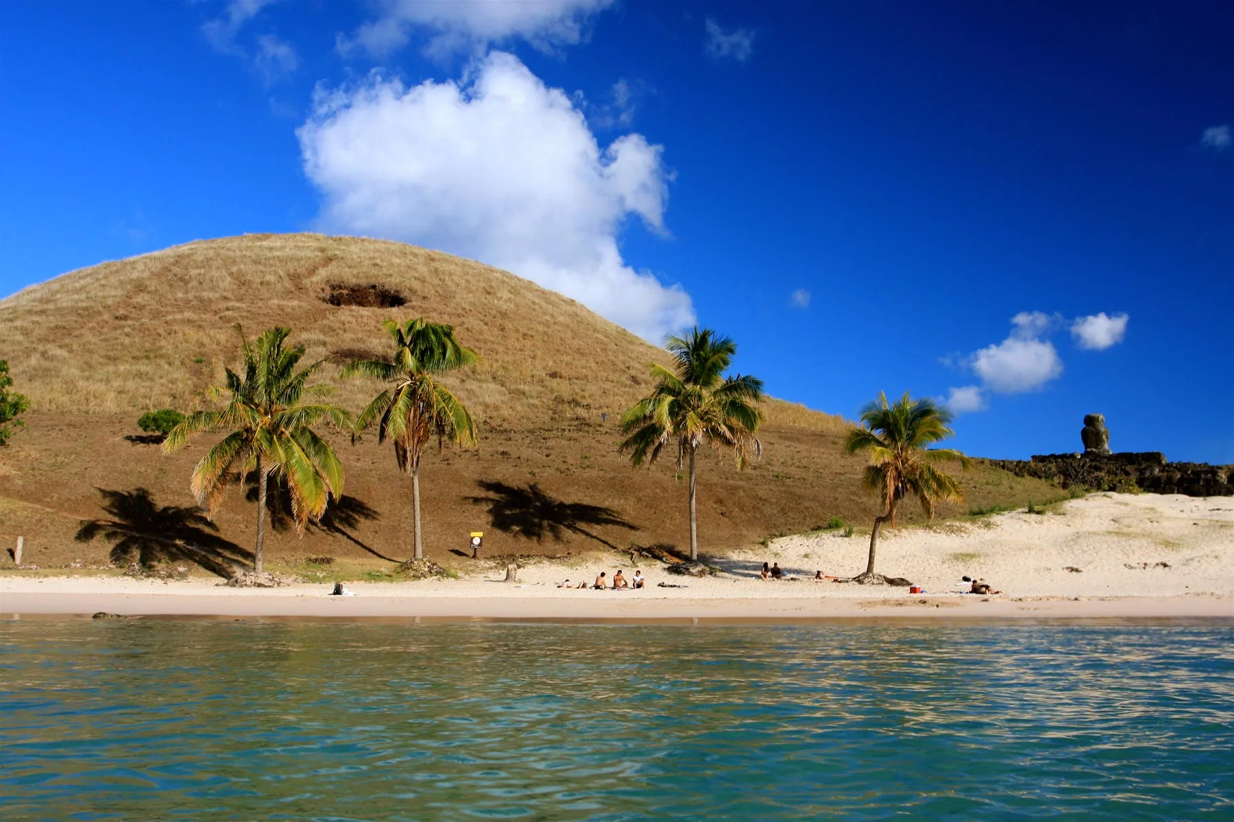 The true story of the palms of Anakena 1 playa anakena 1.jpg