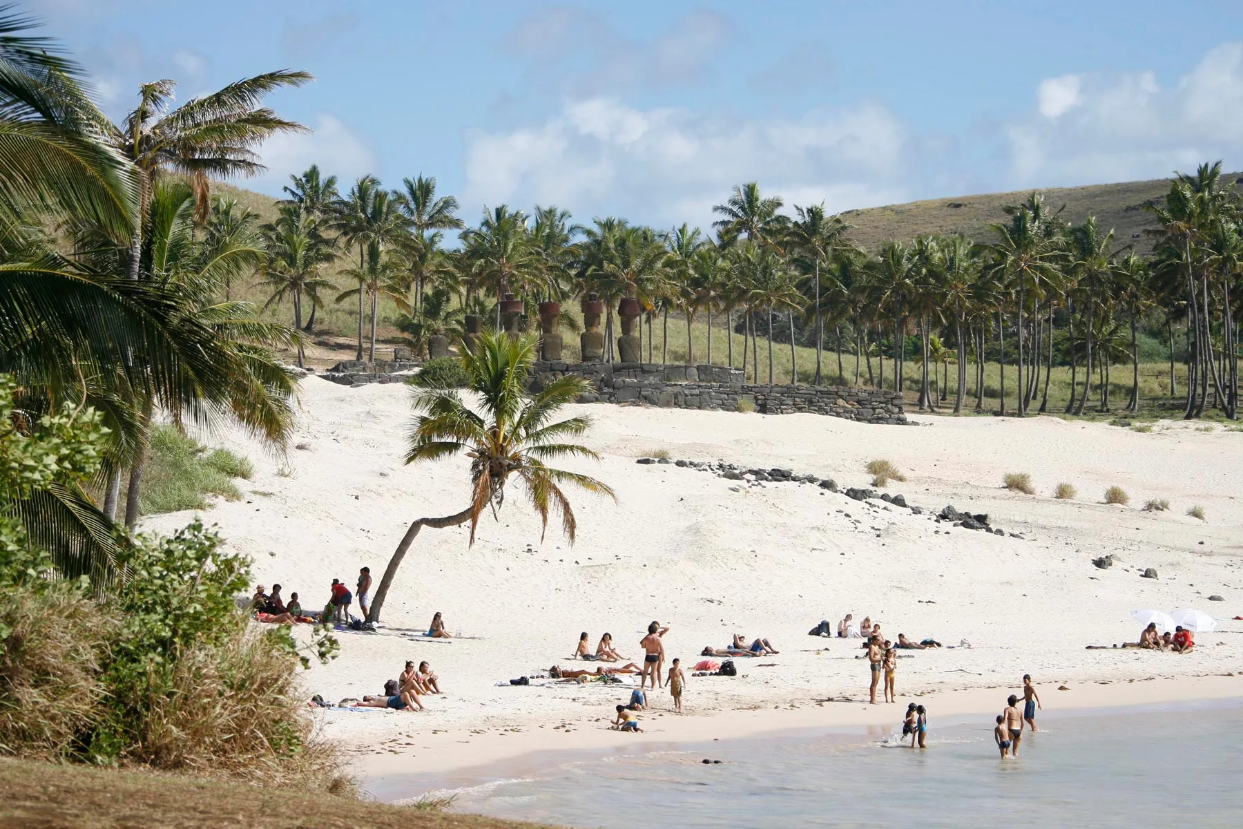 The true story of the palms of Anakena 2 playa anakena 2.jpg