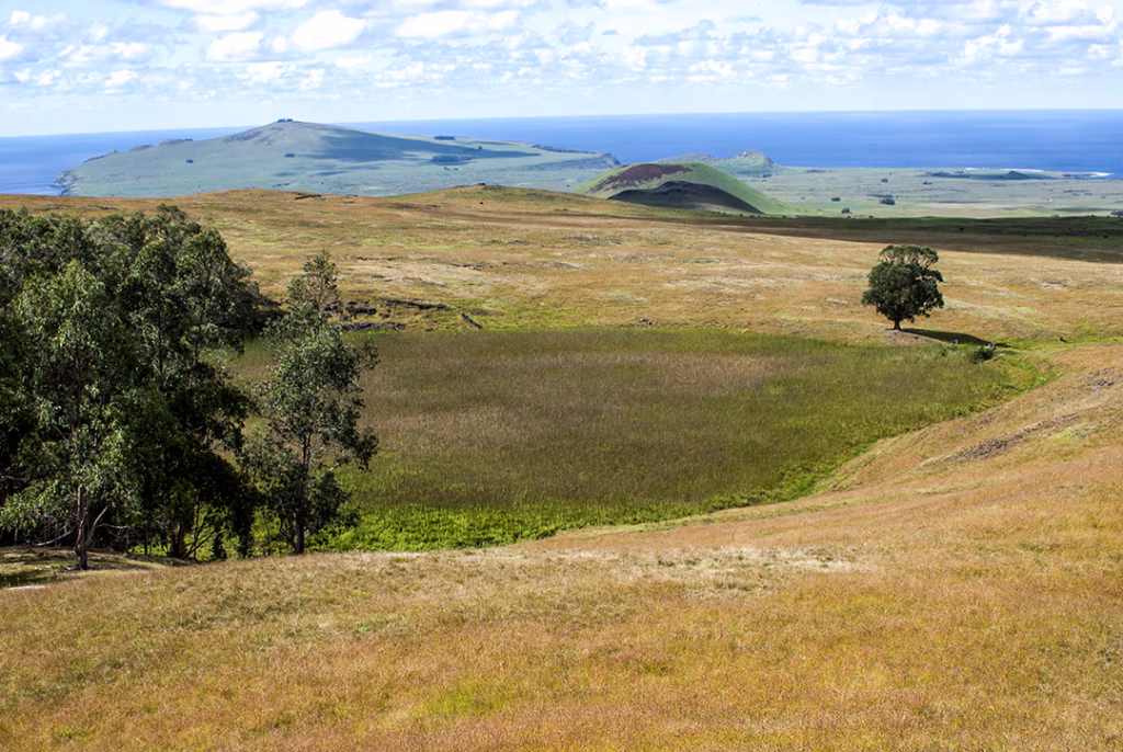 Paisaje de Rapa Nui con praderas, relieves volcánicos y el océano Pacífico.