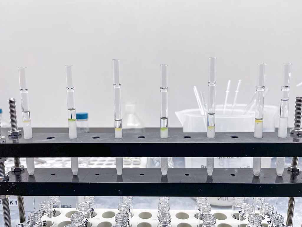 ceras hojas extractos lipidicos analisis rapa nui